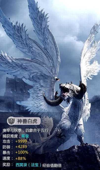 清理脏乱的宫殿