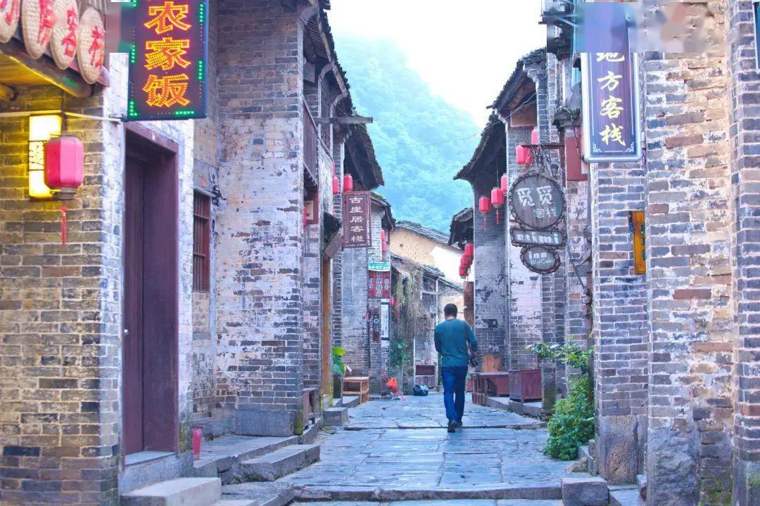 漂亮鹦鹉救援